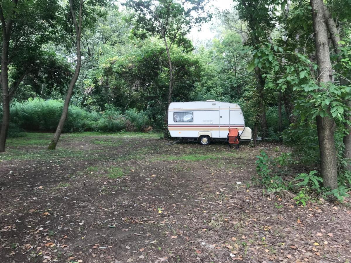 Tisza-Beach Wild Camping 5 Szegedin Exterior foto