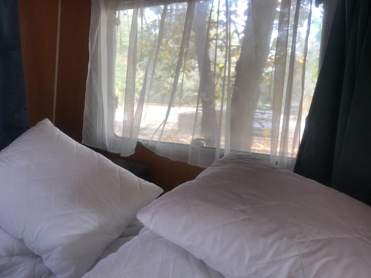 Tisza-Beach Wild Camping 5 Szegedin Exterior foto