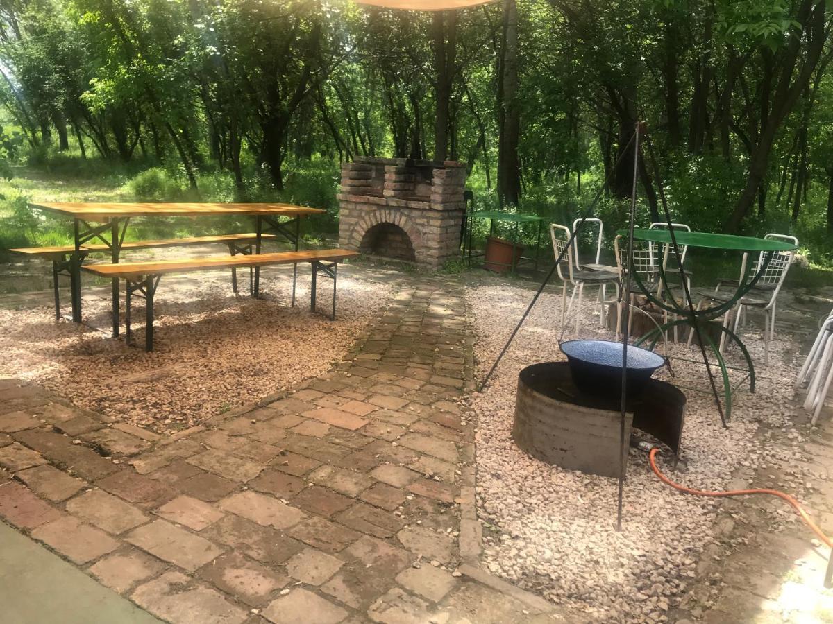 Tisza-Beach Wild Camping 5 Szegedin Exterior foto
