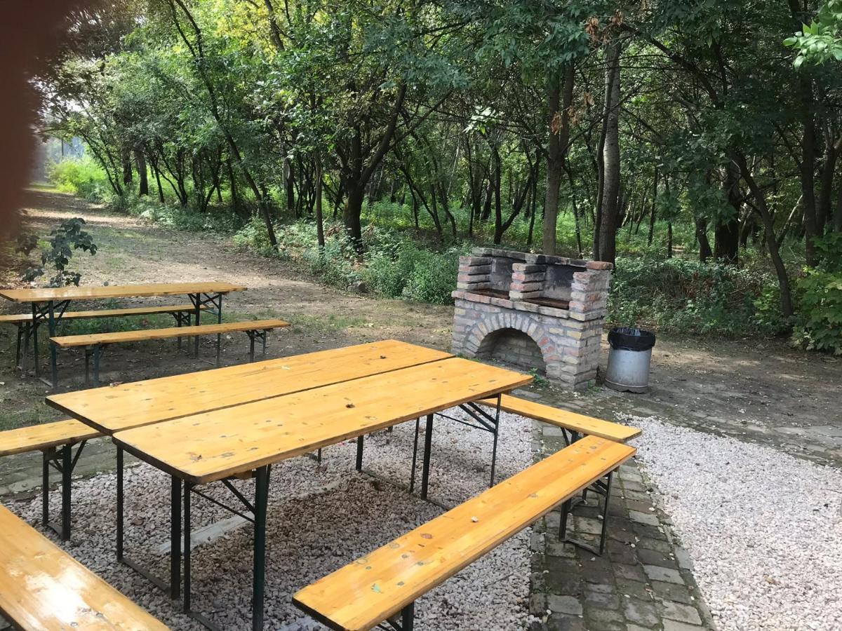 Tisza-Beach Wild Camping 5 Szegedin Exterior foto