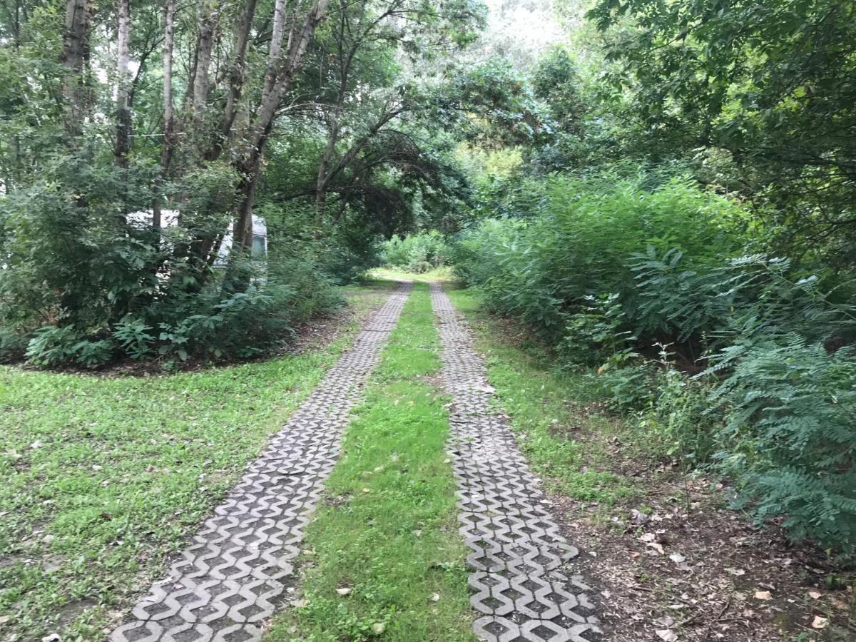 Tisza-Beach Wild Camping 5 Szegedin Exterior foto