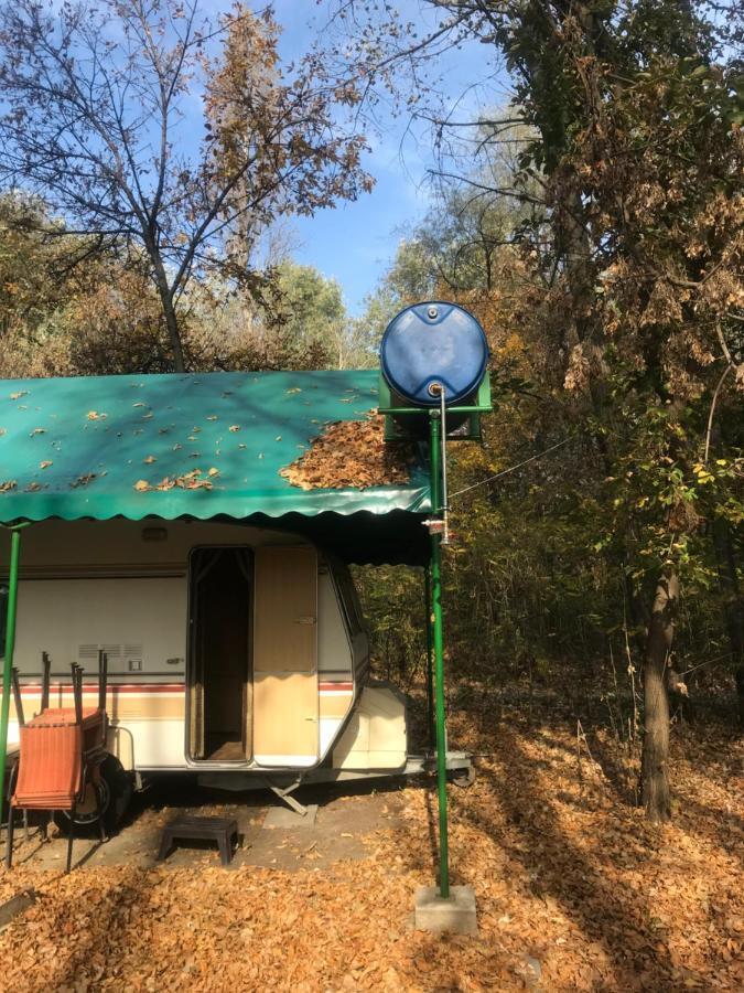 Tisza-Beach Wild Camping 5 Szegedin Exterior foto